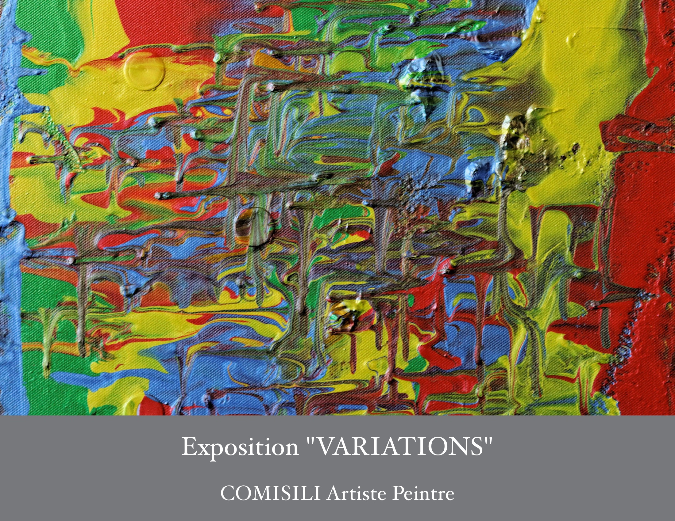 Catalogue Exposition Variations Comisili
